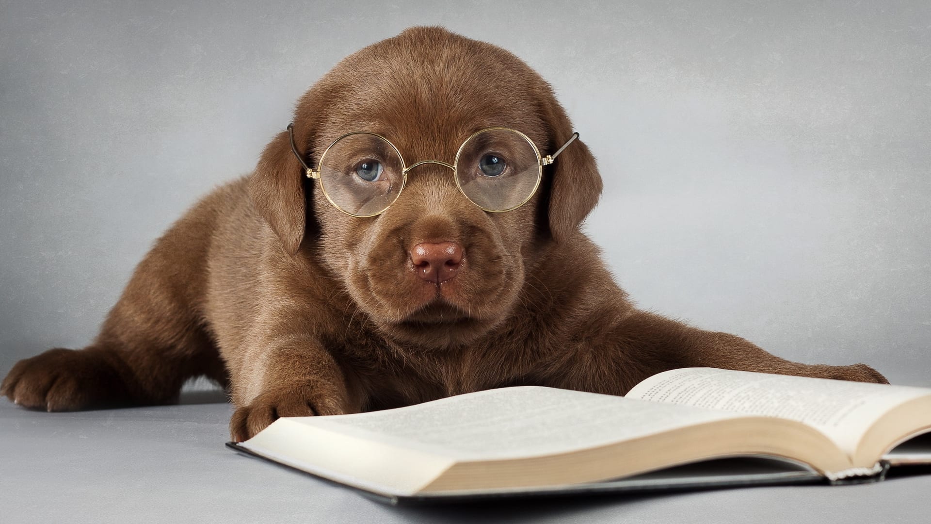 Studying?