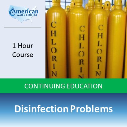 Disinfection Problems