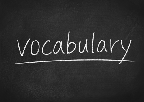 Learn the Lingo